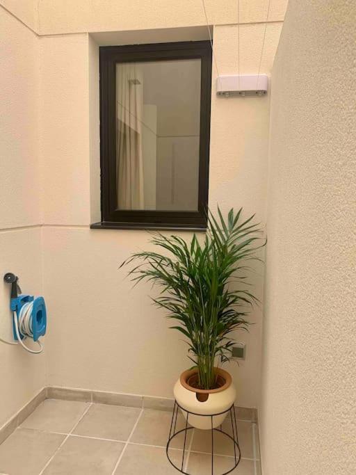 Apartment Yellow Sail Medano 2 Dormtiorios Con Parking *